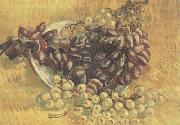 Vincent Van Gogh Still life wtih Grapes (nn04) oil